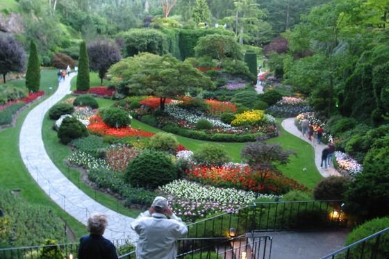 The Sunken Garden at The Butchart Gardens, with beds of flowers below a rim of trees