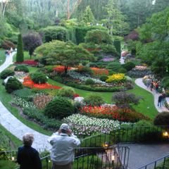 The Sunken Garden at The Butchart Gardens, with beds of flowers below a rim of trees