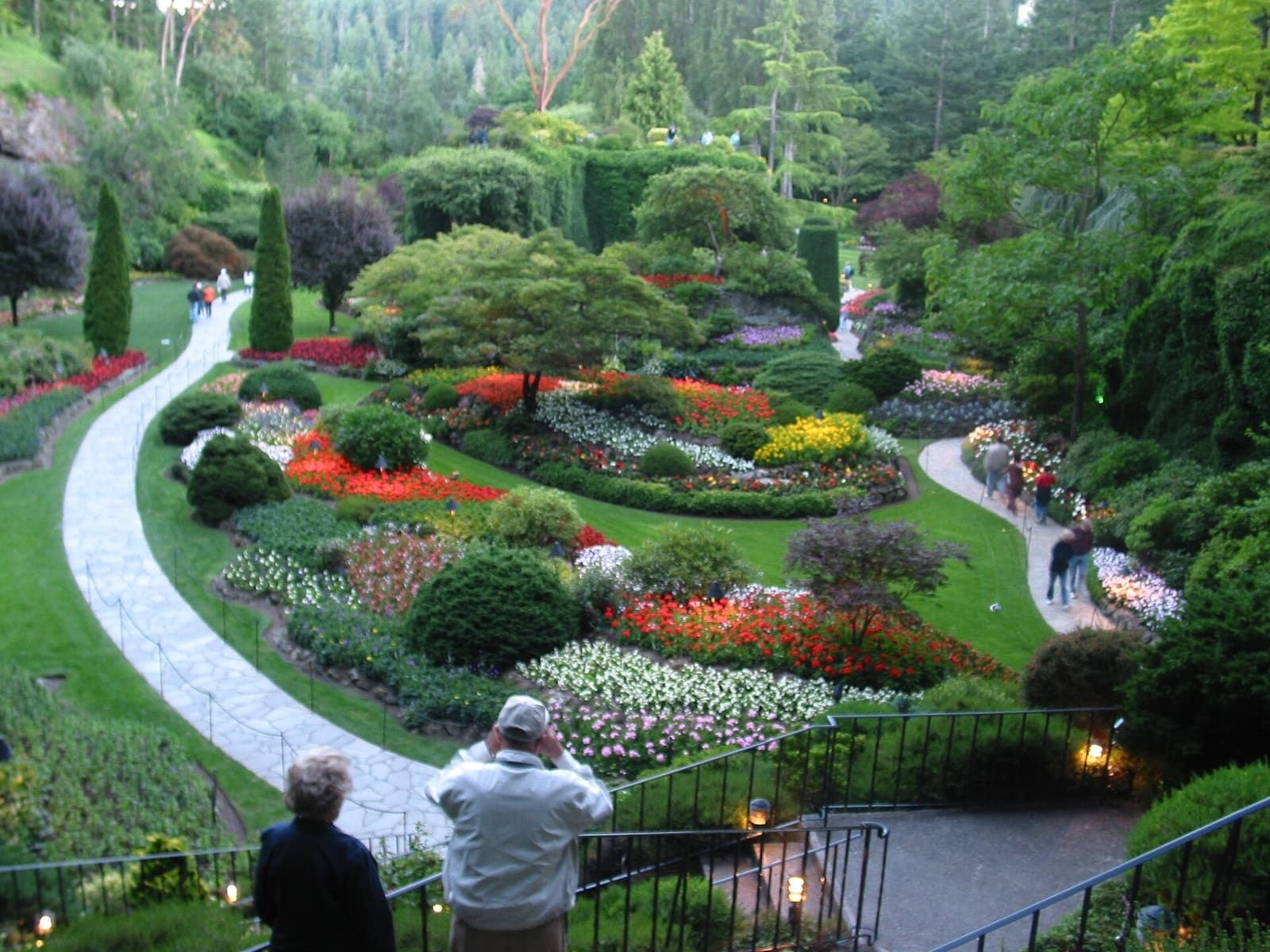 The Sunken Garden at The Butchart Gardens, with beds of flowers below a rim of trees
