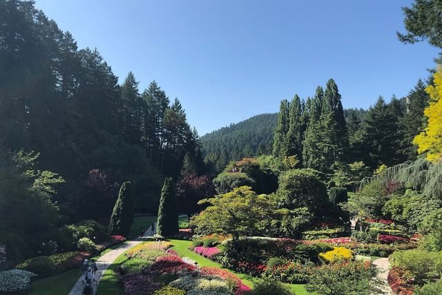 Colourful flower beds at The Butchart Gardens