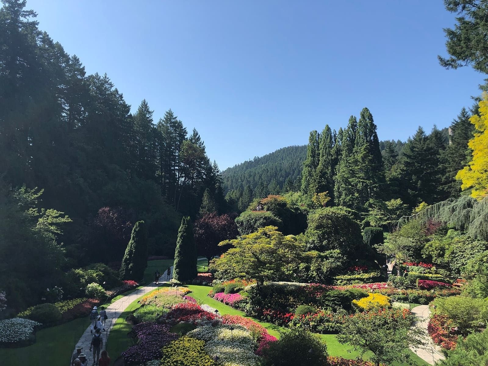 Colourful flower beds at The Butchart Gardens
