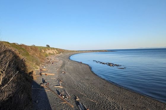 Clover Point on the Dallas Road waterfront