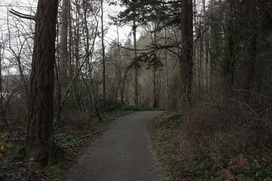 A forest path in Elk/Beaver Lake Regional Park