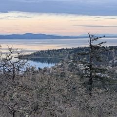 The view from the summit of Mount Douglas