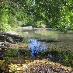 Still green water in the rock pools at Sooke Potholes