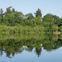 Swan Lake Christmas Hill Nature Sanctuary in Saanich