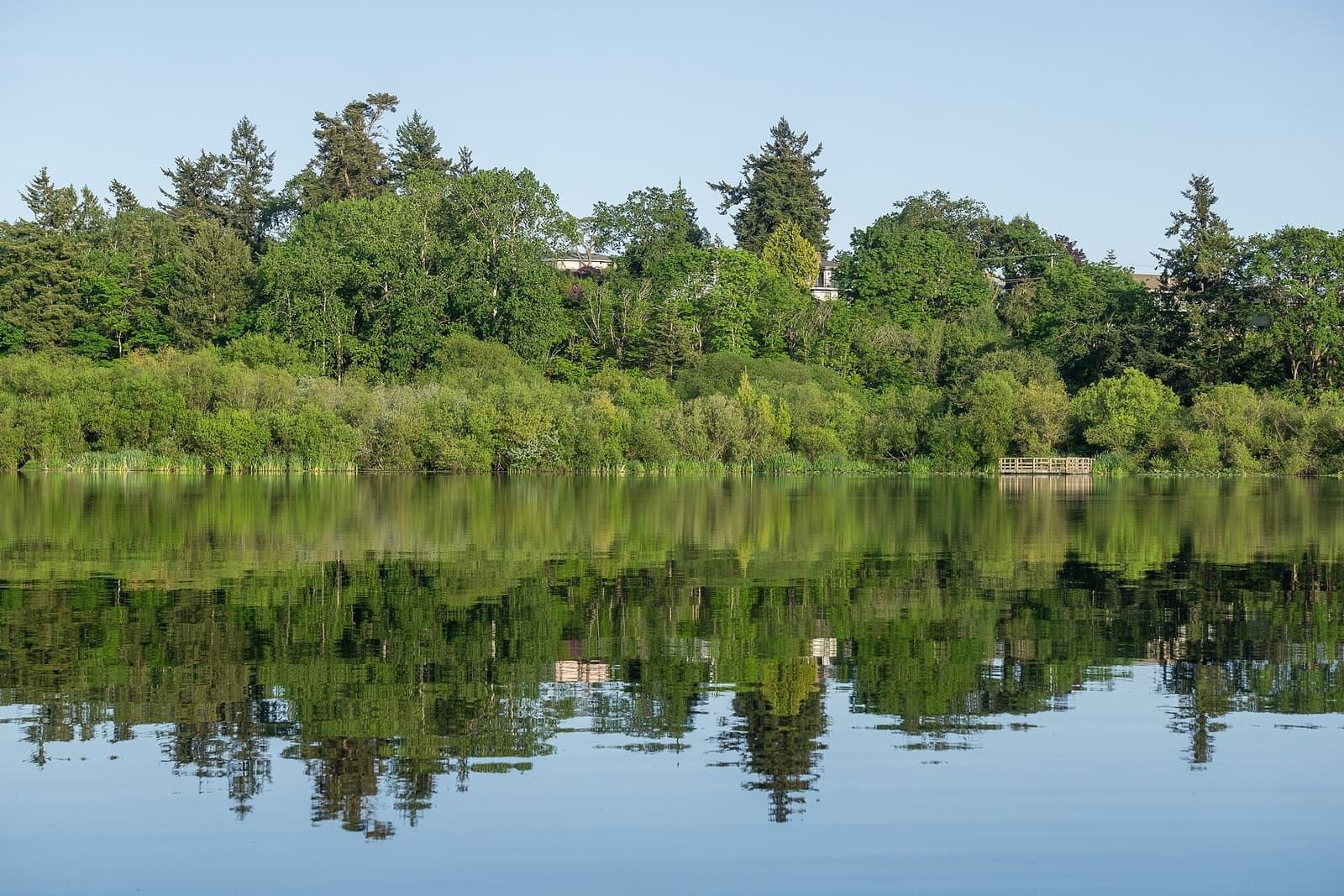 Swan Lake Christmas Hill Nature Sanctuary in Saanich