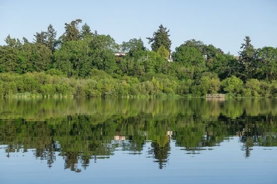 Swan Lake Christmas Hill Nature Sanctuary in Saanich