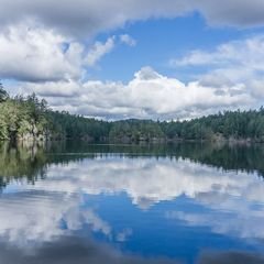Thetis Lake with forested shores