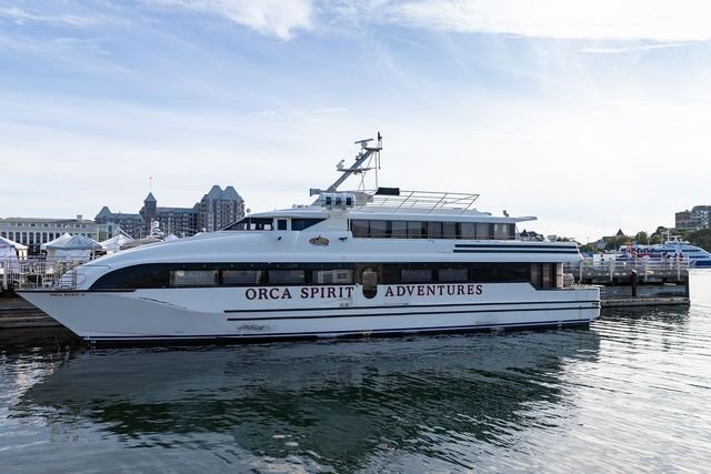 A whale-watching tour boat on the water off Vancouver Island
